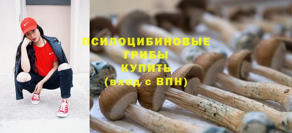 круглые Армянск